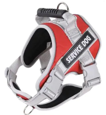 Medium and Large Dog Leash with Chest Strap Vest