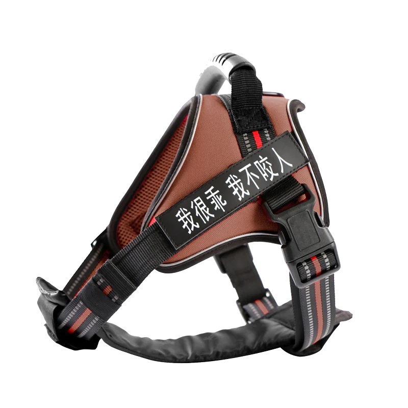 Medium and Large Dog Leash with Chest Strap Vest