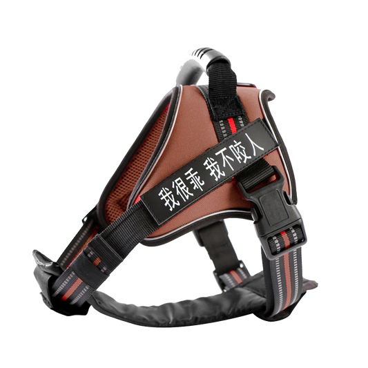 Medium and Large Dog Leash with Chest Strap Vest