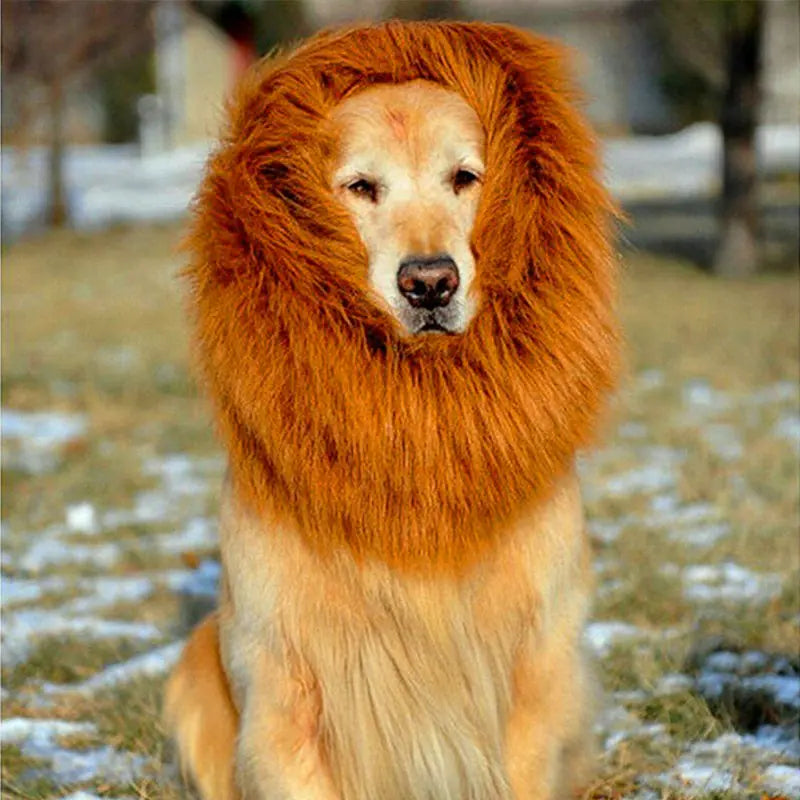 Pet Wig - Lion Head Costume for Dogs